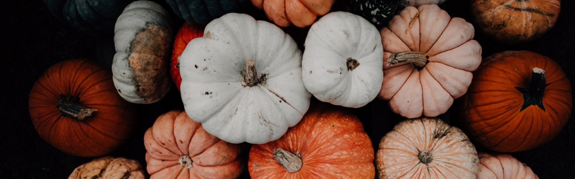 Vinifera Wellness Night – Halloween Edition